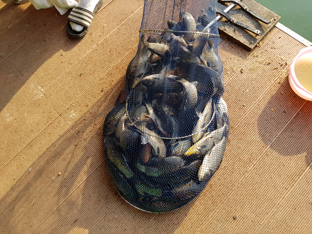 113abb3684d35f22decc0024e3a7495f.jpg