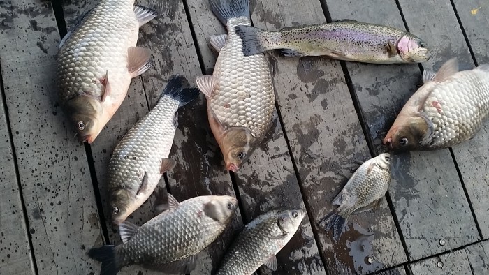 2a2ceb6c9e6dba56f93780787852dc34.jpg