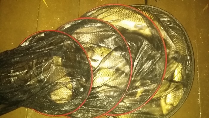 7a03e601053cdab11d4650bccf3846e8.jpg