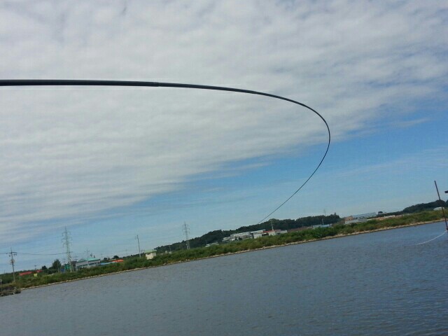 8cd1e9603ee15600f86aafd1ce5b2d84.jpg