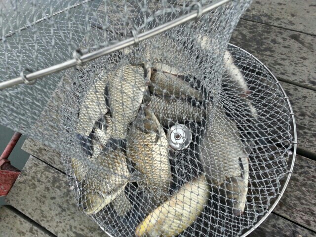 9584a28aa74ac46319eb0c6278364020.jpg
