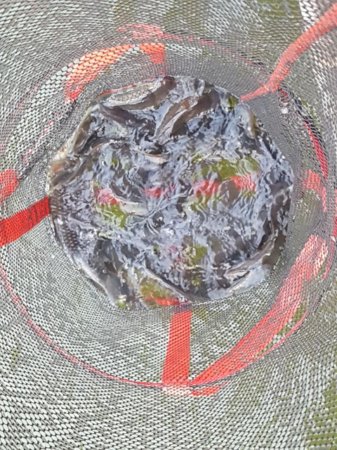 b95eedb037fe18024e41ae91a1680529.jpg