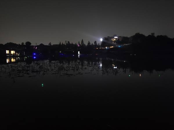 d4d3bb479772a70d3e8bb63044d0781b.jpg