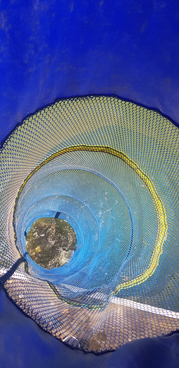 df7feddc7d669452e7991aaf26b515f4.jpg