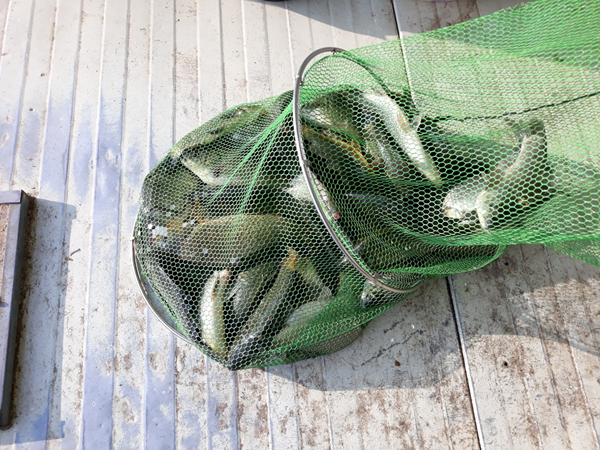 0a3d886f6e881560883a5ebd3b63cb7e_1653872951_8468.jpg