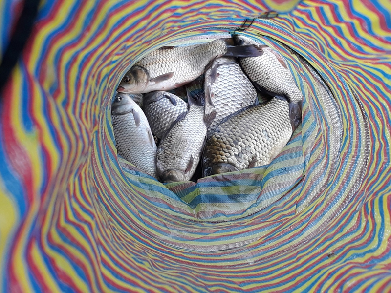 311f76503f97c72dcd210a212702d882_1655710289_9109.jpg
