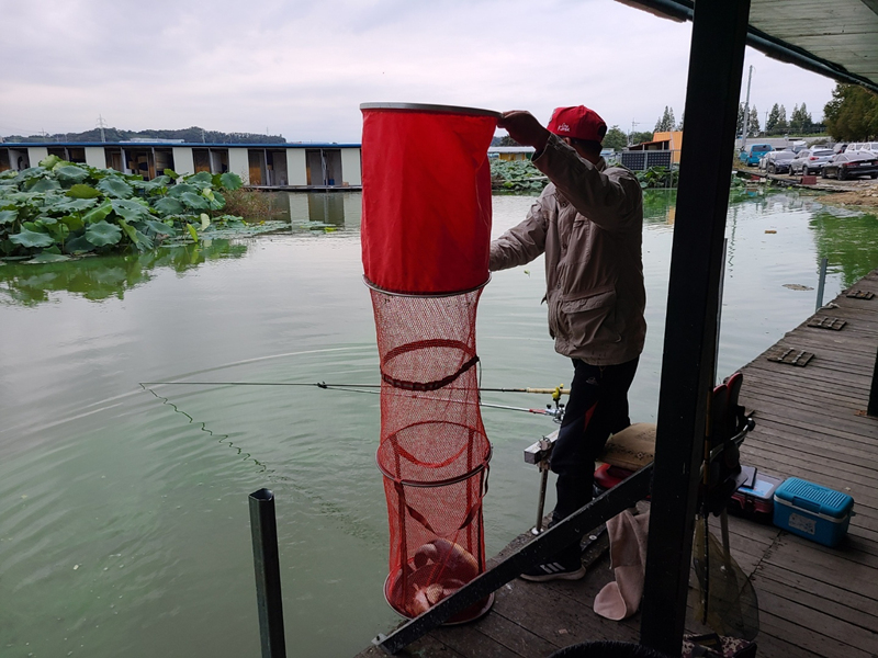 99f0bf3ab4d8d4aecd1a5a6219d20373_1665456305_4483.jpg