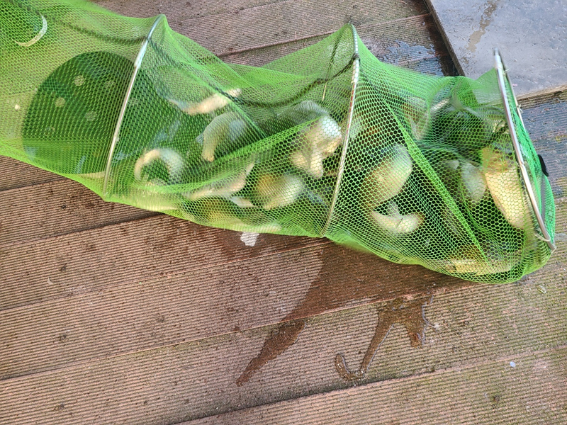 73d8ff5006f912ec41c5f5267f9267b4_1667353107_7946.jpg