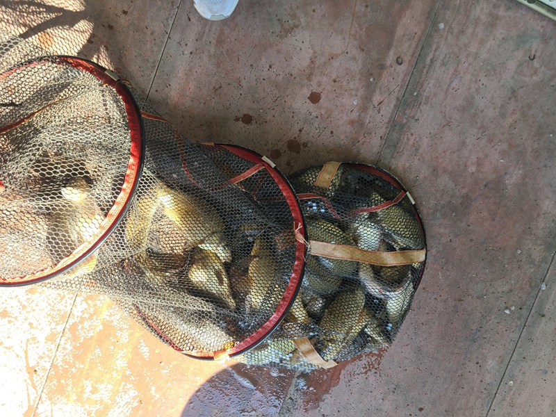 df7858455a3619f4055c4c70ee61bf76_1681095434_8668.jpg