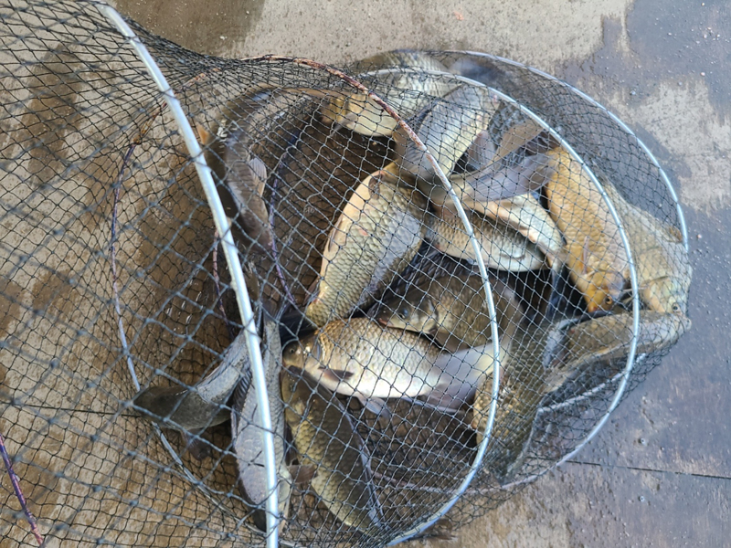 7142a7ee3e5fd673cf3d9094fb0a0d57_1683001385_0069.jpg