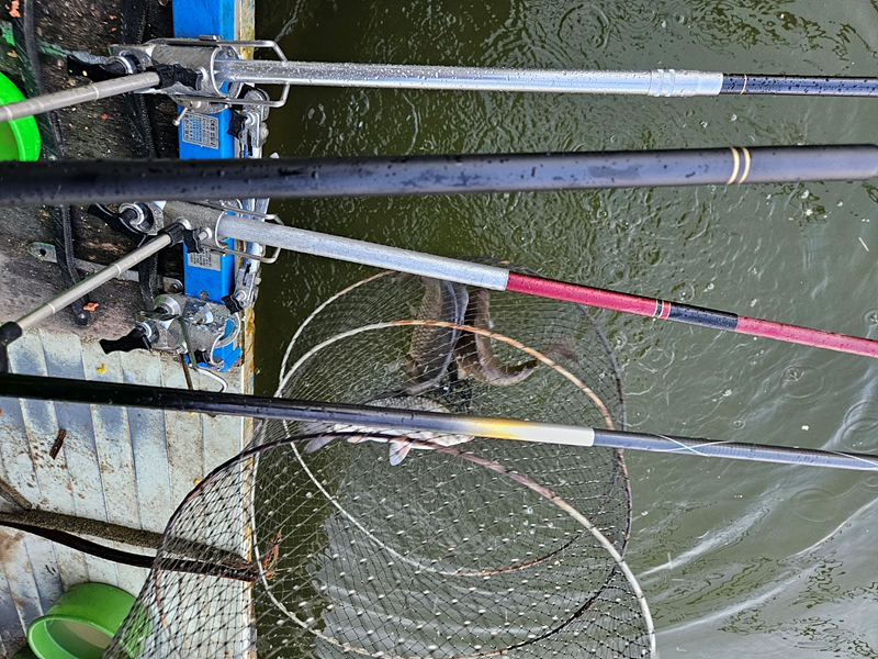2e1f018657b47e806a7bcdb552bfb9bb_1713163536_3263.jpg