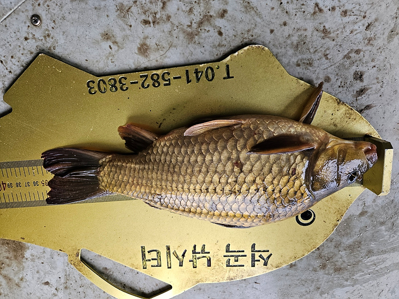 56e4cf5fc67f24c592df57920d2764a9_1713856361_9489.jpg