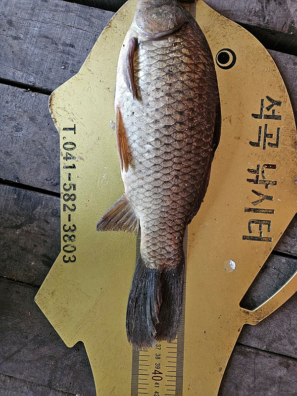 1094d6d420518d586f5389b1e328f9e7_1715061049_4114.jpg