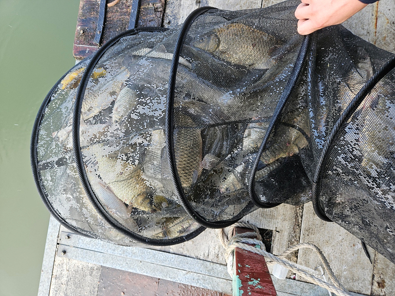 7255e46c1461638120f9b068070e1e68_1718585736_7248.jpg