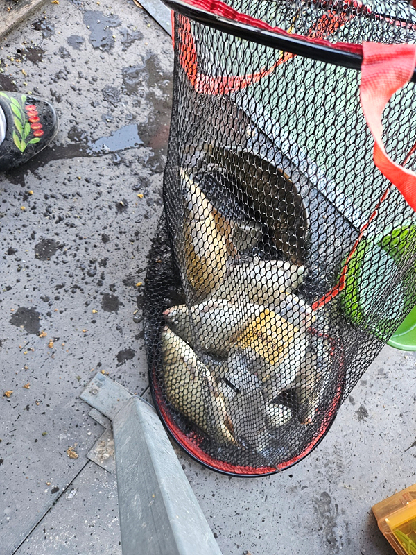 7255e46c1461638120f9b068070e1e68_1718585770_3706.jpg