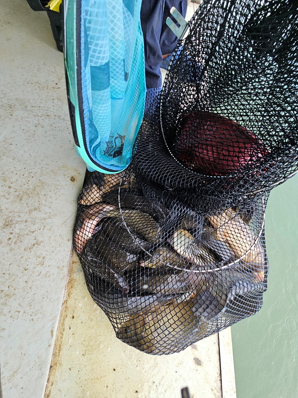 20a555e497009aa1006675c9927ab8c6_1721026022_2912.jpg