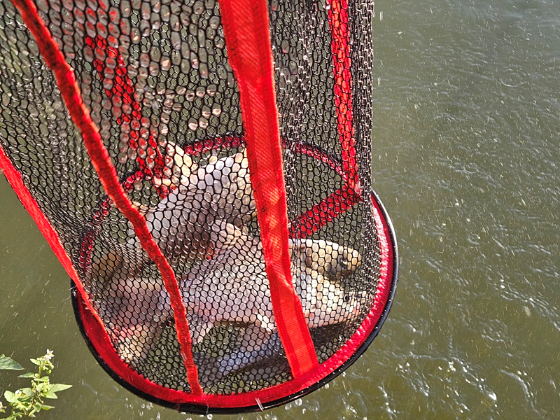 88366ecbc04305f497072d6532c55d2d_1729563335_7587.jpg