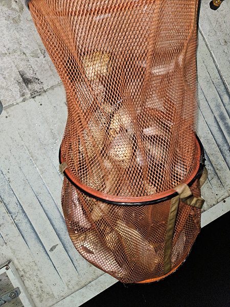 3e9f0dec4a25ff14956ced3d43072a44_1742778557_4577.jpg